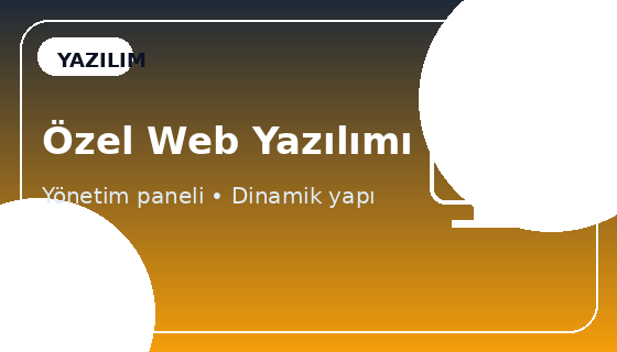 Özel Web Yazılımı görseli